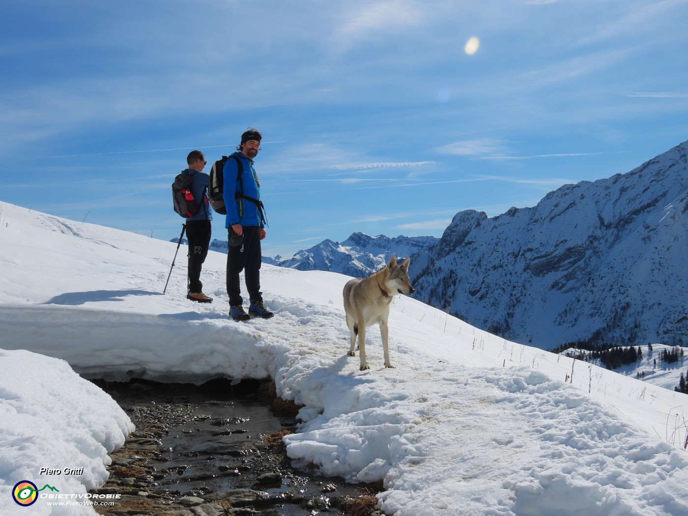 30 Laika abbagliata dal sole su neve .JPG
